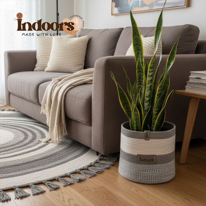 باسكت تخزين - زرع - 3