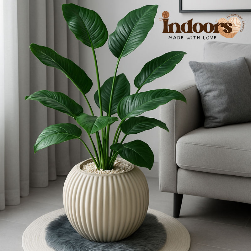 دواسة أرضية فرو - 5